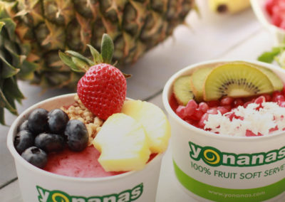 Yonanas Tropical blend & toppings