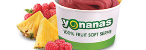 Timeline Yonanas image